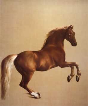 Whistlejacket